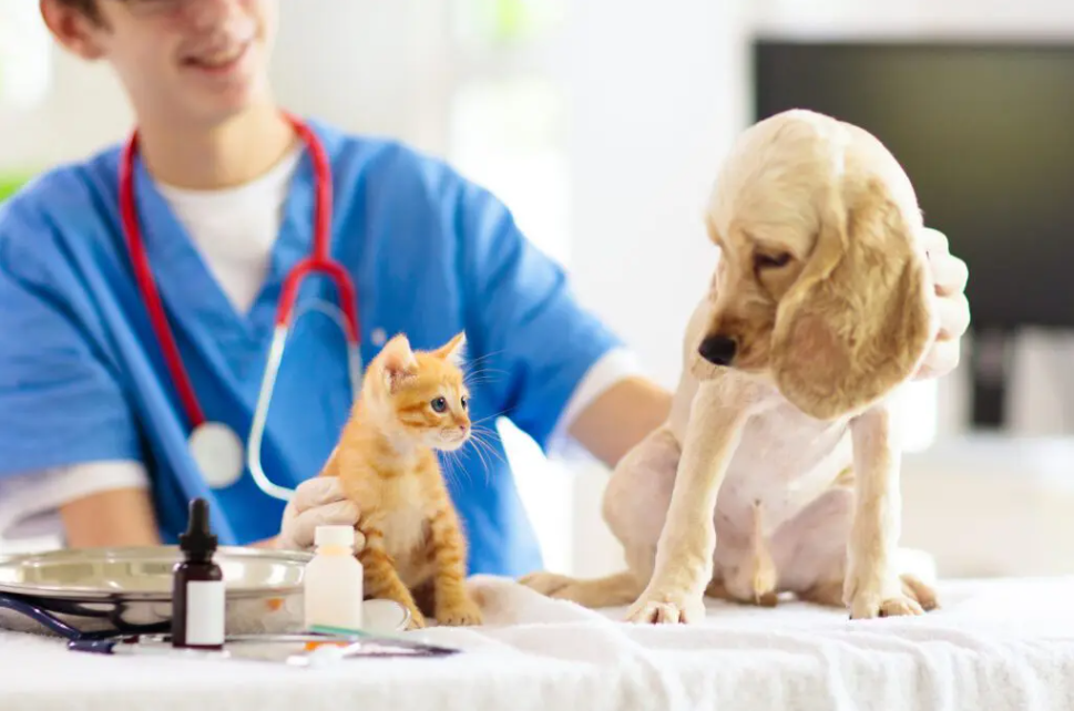 lakeland-medical-care lakeland-medical-care