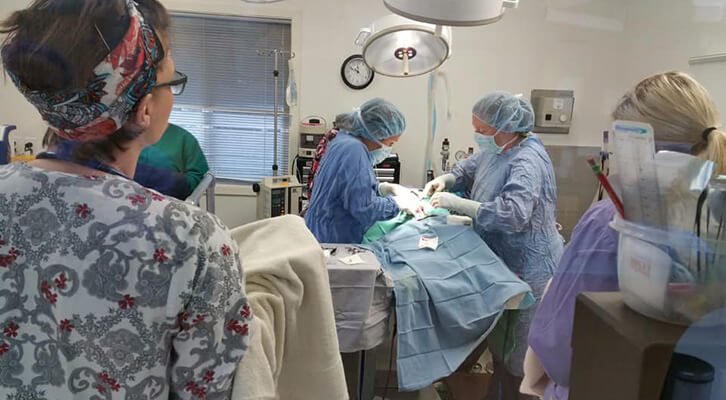 lakeland-surgery lakeland-surgery